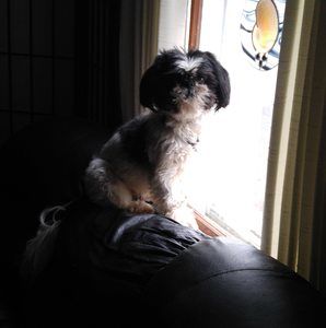 Meet your Posher, Connie